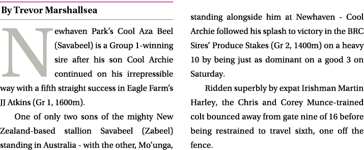 ￼ Newhaven Park’s Cool Aza Beel (Savabeel) is a Group 1 winning sire after his son Cool Archie continued on his irrep...