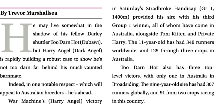 ￼ He may live somewhat in the shadow of his fellow Darley shuttler Too Darn Hot (Dubawi), but Harry Angel (Dark Angel...