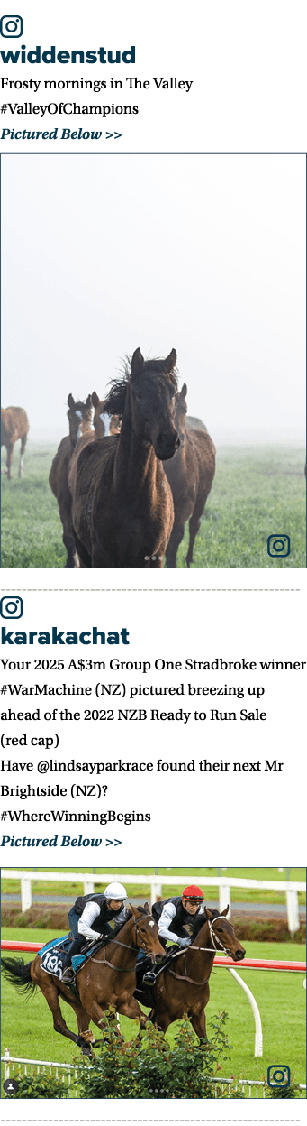 ￼ widdenstud Frosty mornings in The Valley #ValleyOfChampions Pictured Below   ￼ ￼ karakachat Your 2025 A$3m Group O...