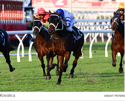 Kovalica Grant Peter