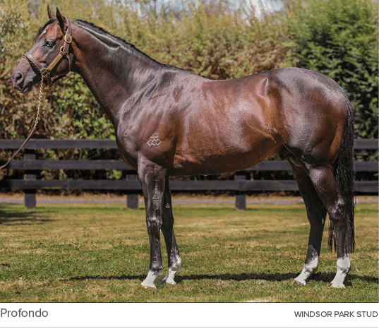 Profondo Windsor Park Stu