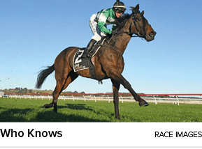 Who Knows Race Image