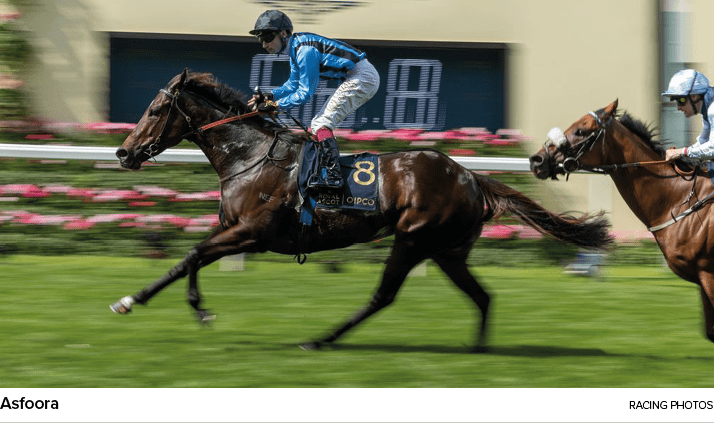 Asfoora racing photo