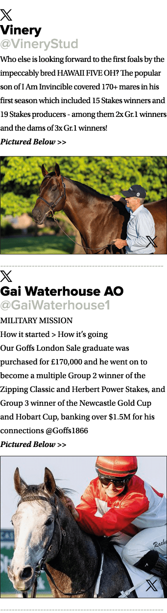 ￼ Vinery @VineryStud Who else is looking forward to the first foals by the impeccably bred HAWAII FIVE OH? The popula...