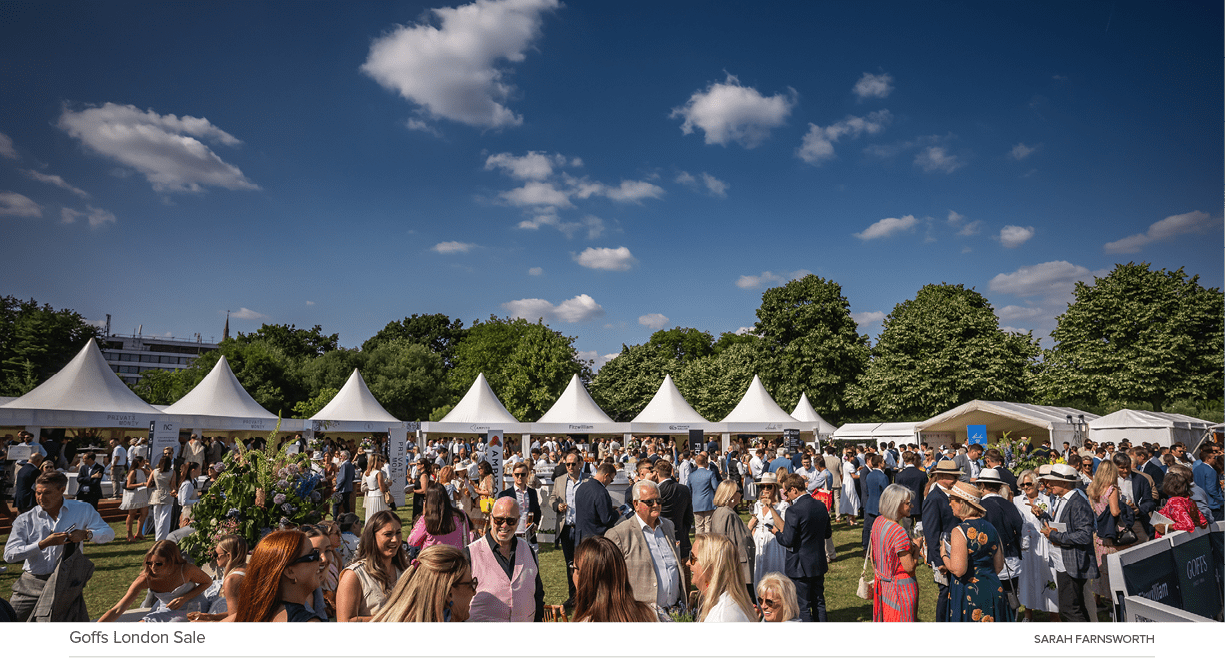 Goffs London Sale Sarah Farnswort