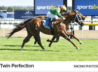 Twin Perfection RACING PHOTO