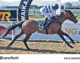 Branciforti Race Image