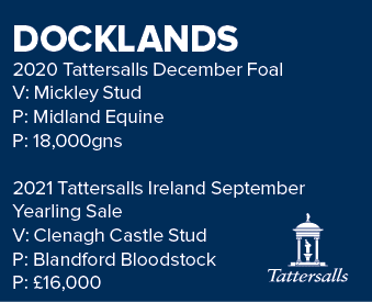 DOCKLANDS 2020 Tattersalls December Foal V: Mickley Stud P: Midland Equine P: 18,000gns 2021 Tattersalls Ireland Sept...