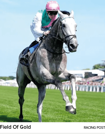 Field Of Gold racing pos