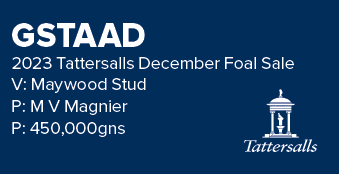 GSTAAD 2023 Tattersalls December Foal Sale V: Maywood Stud P: M V Magnier P: 450,000gn