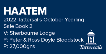 HAATEM 2022 Tattersalls October Yearling Sale Book 2 V: Sherbourne Lodge P: Peter & Ross Doyle Bloodstock P: 27,000gn