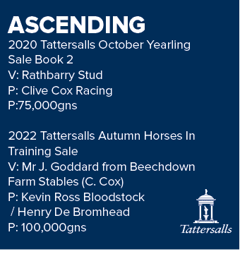 ASCENDING 2020 Tattersalls October Yearling Sale Book 2 V: Rathbarry Stud P: Clive Cox Racing P:75,000gns 2022 Tatter...