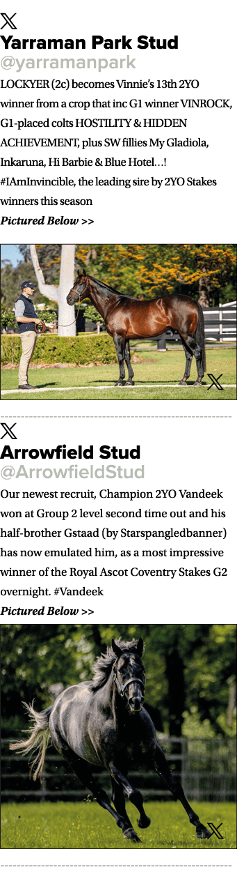 ￼ Yarraman Park Stud @yarramanpark LOCKYER (2c) becomes Vinnie’s 13th 2YO winner from a crop that inc G1 winner VINRO...