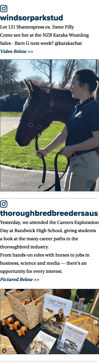 ￼ windsorparkstud Lot 121 Shamexpress ex. Esme Filly Come see her at the NZB Karaka Weanling Sales Barn G next week!!...