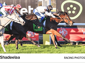 Shadeelaa racing photo