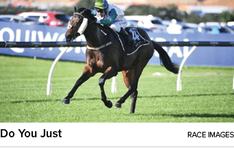 Do You Just Race Image