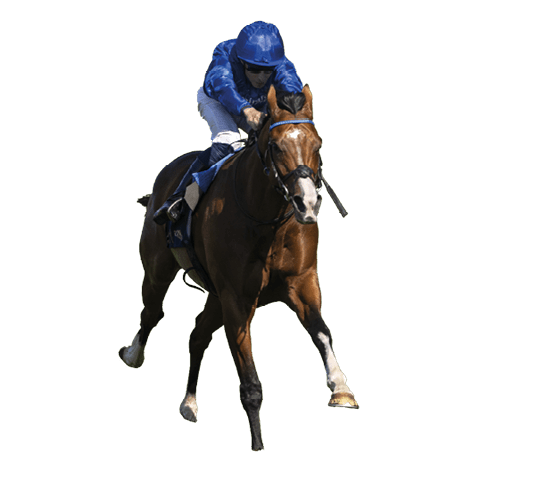 Ombudsman and William Buick wins the Prince Of Wales Stakes Gr.1 from Anmaat. Royal Ascot. Photo: Patrick McCann/Racing Post 18.06.2025