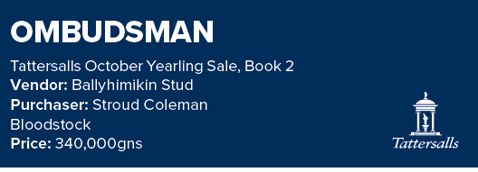 OMBUDSMAN Tattersalls October Yearling Sale, Book 2 Vendor: Ballyhimikin Stud Purchaser: Stroud Coleman Bloodstock Pr...