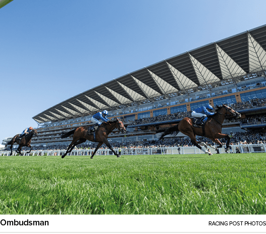 Ombudsman racing post photo