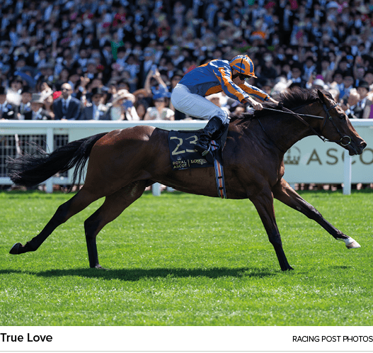 True Love racing post photo