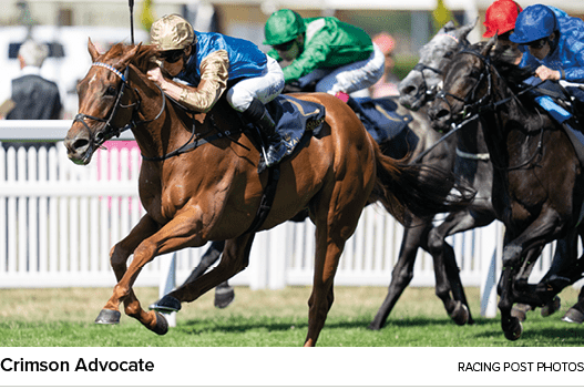 Crimson Advocate racing post photo