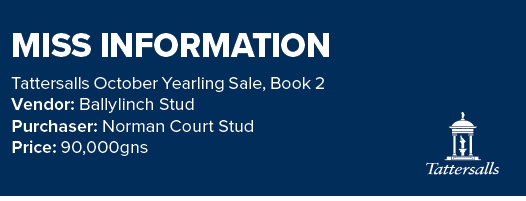 MISS INFORMATION Tattersalls October Yearling Sale, Book 2 Vendor: Ballylinch Stud Purchaser: Norman Court Stud Price...