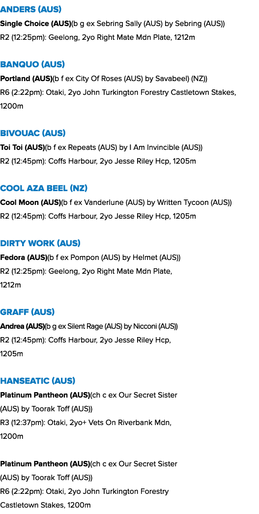 Anders (AUS) Single Choice (AUS)(b g ex Sebring Sally (AUS) by Sebring (AUS)) R2 (12:25pm): Geelong, 2yo Right Mate M...