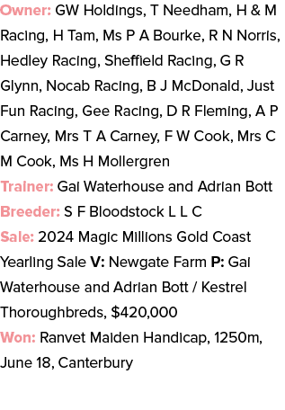 Owner: GW Holdings, T Needham, H & M Racing, H Tam, Ms P A Bourke, R N Norris, Hedley Racing, Sheffield Racing, G R G...