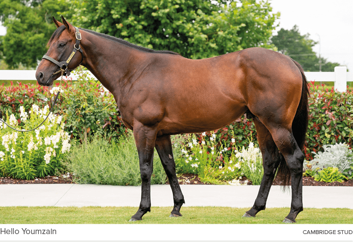 Hello Youmzain cambridge stu