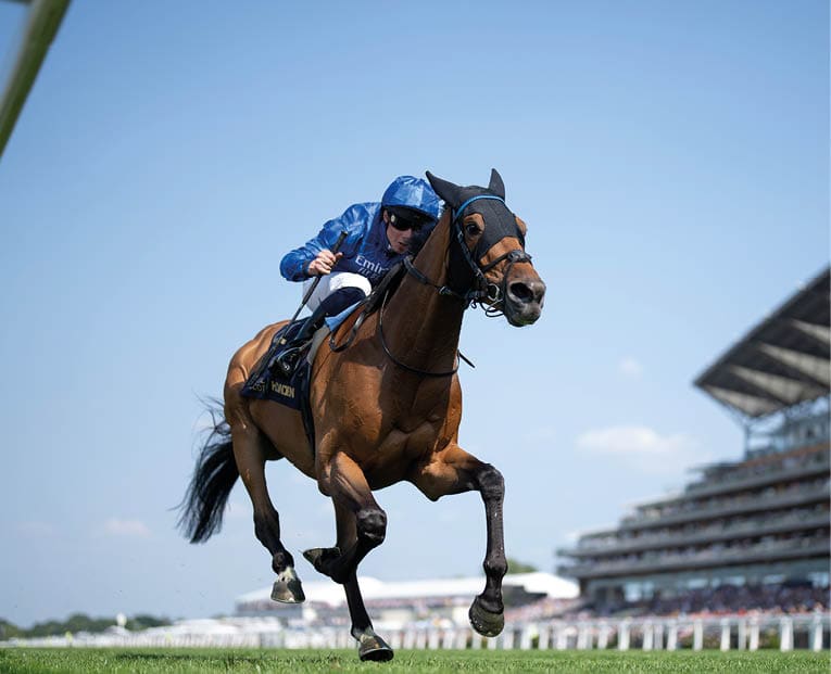 Trawlerman (William Buick) wins the Ascot Gold Cup Royal Ascot 19.6.25 Pic: Edward Whitaker