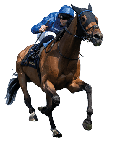 Trawlerman (William Buick) wins the Ascot Gold Cup Royal Ascot 19.6.25 Pic: Edward Whitaker