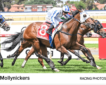 Mollynickers racing photo