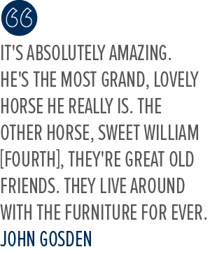 It's absolutely amazing. He's the most grand, lovely horse he really is. The other horse, Sweet William [fourth], the...