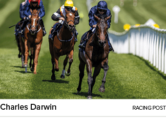 Charles Darwin racing pos