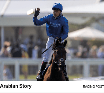 Arabian Story racing pos