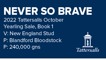 NEVER SO BRAVE 2022 Tattersalls October Yearling Sale, Book 1 V: New England Stud P: Blandford Bloodstock P: 240,000 gn