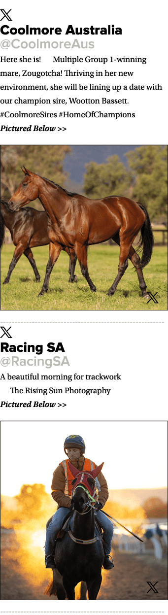 ￼ Coolmore Australia @CoolmoreAus Here she is! ☘️ Multiple Group 1 winning mare, Zougotcha! Thriving in her new envir...