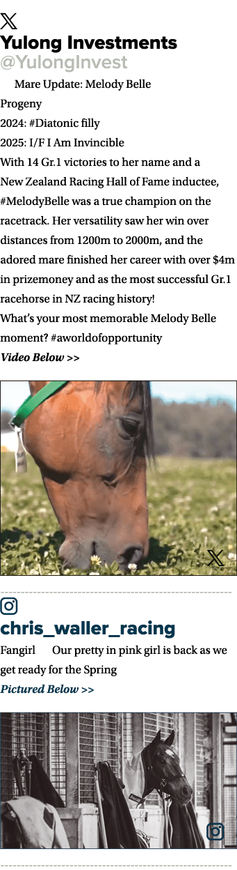 ￼ Yulong Investments @YulongInvest ⚜️ Mare Update: Melody Belle Progeny 🏇 2024: #Diatonic filly 2025: I/F I Am Invin...