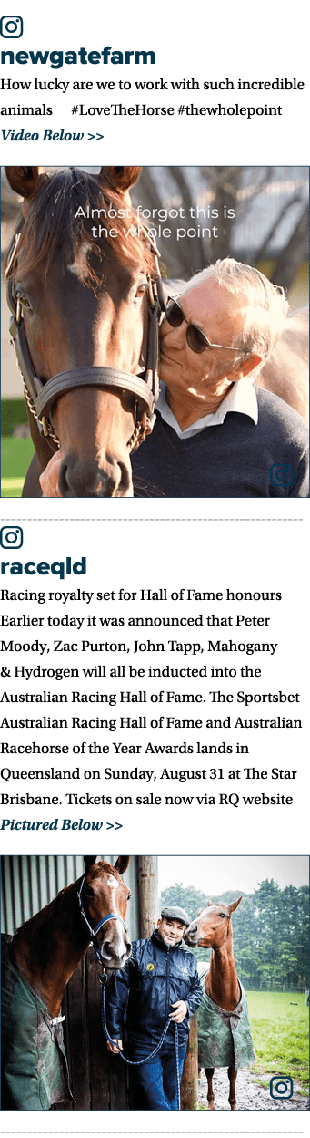 ￼ newgatefarm How lucky are we to work with such incredible animals🥰 #LoveTheHorse #thewholepoint Video Below   ￼ ￼...