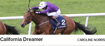 California Dreamer caroline norri