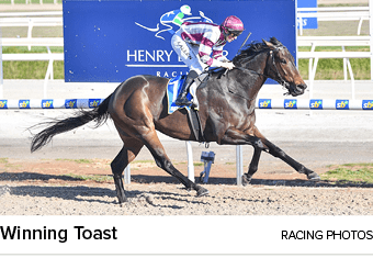 Winning Toast racing photo