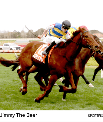 Jimmy The Bear sportpi