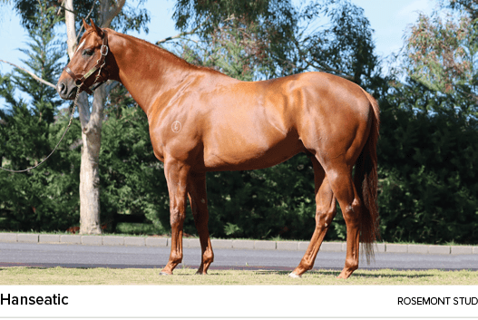 Hanseatic rosemont stu