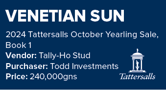 VENETIAN SUN 2024 Tattersalls October Yearling Sale, Book 1 Vendor: Tally Ho Stud Purchaser: Todd Investments Price: ...
