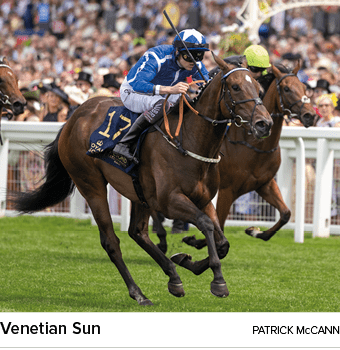 Venetian Sun Patrick McCan