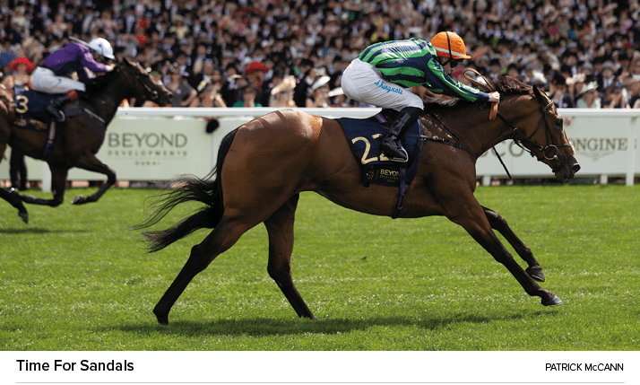 Time For Sandals Patrick McCan