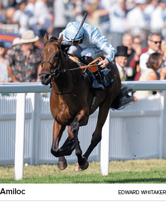 Amiloc Edward Whitake