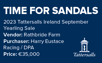 TIME FOR SANDALS 2023 Tattersalls Ireland September Yearling Sale Vendor: Rathbride Farm Purchaser: Harry Eustace Rac...