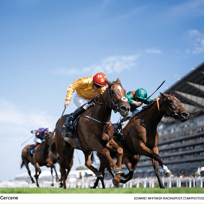 Cercene Edward Whitaker (RACINGPOST.COM/PHOTOS