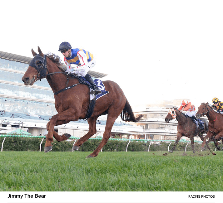 Jimmy The Bear Racing Photo